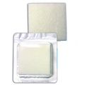 BioPad Box - 100% Collagen Wound Dressings, 2”x2” (3/ box)